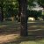 campingyuste (27)